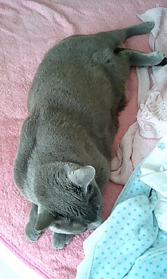 ３本_d0152937_1431522.jpg