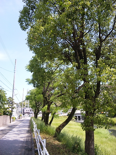 e0196845_1033067.jpg
