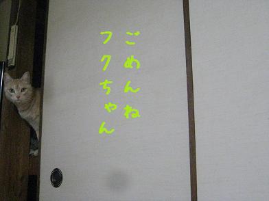 b0151748_12425410.jpg