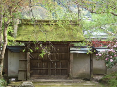 「室生寺」（5/4）_d0088348_1741545.jpg