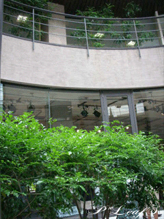 c0176651_228948.gif