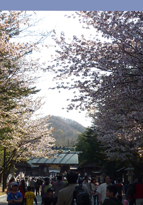 北海道神宮_a0119753_12404811.jpg