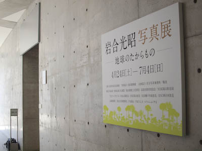 f0202957_8561262.jpg