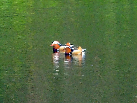 b0165760_2237119.jpg