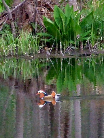 b0165760_22405270.jpg