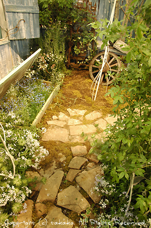 c0070460_14595632.jpg