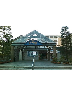 b0093361_083863.jpg