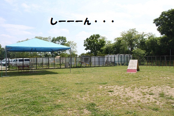 f0181462_11643.jpg