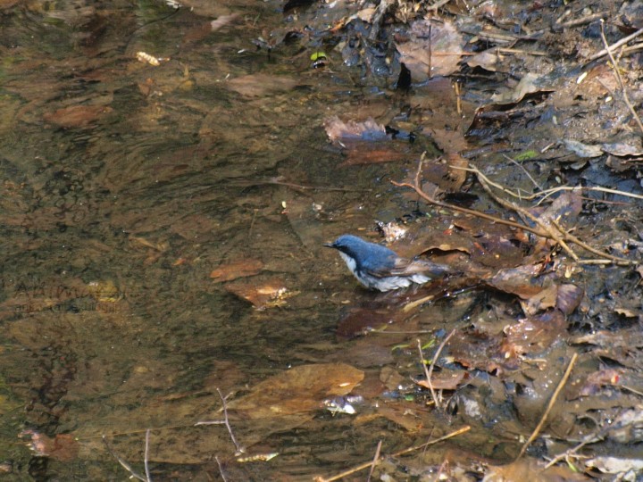 a0160063_2130925.jpg