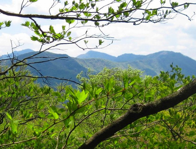 2010.5.16笹ガ峰～三傍示山_c0219866_7463393.jpg