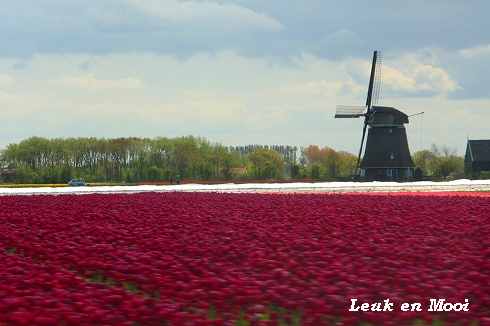 f0177666_33614.jpg