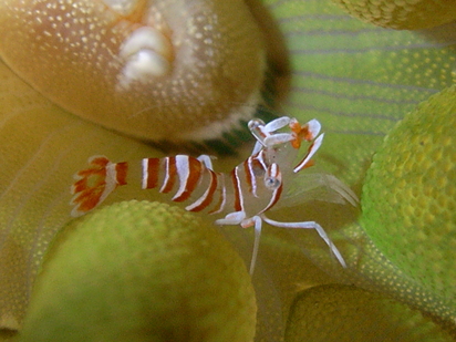 d0162868_23364447.jpg