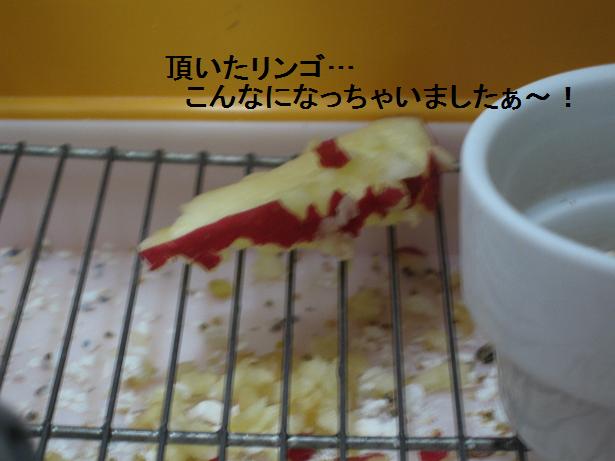 e0027078_13303086.jpg