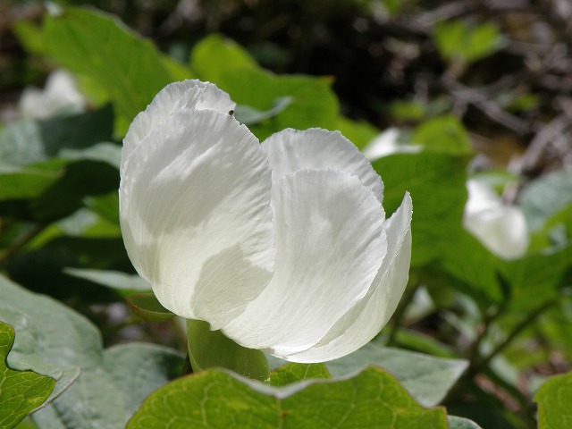 b0047184_22203359.jpg
