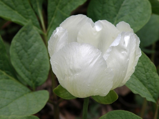 b0047184_22205088.jpg