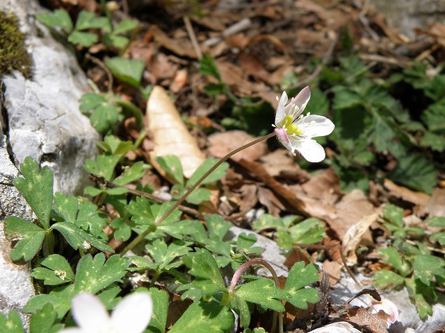 b0047184_2243555.jpg