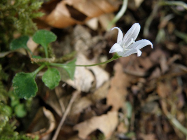 b0047184_22454630.jpg