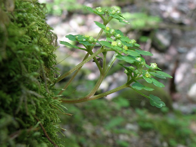 b0047184_22473379.jpg
