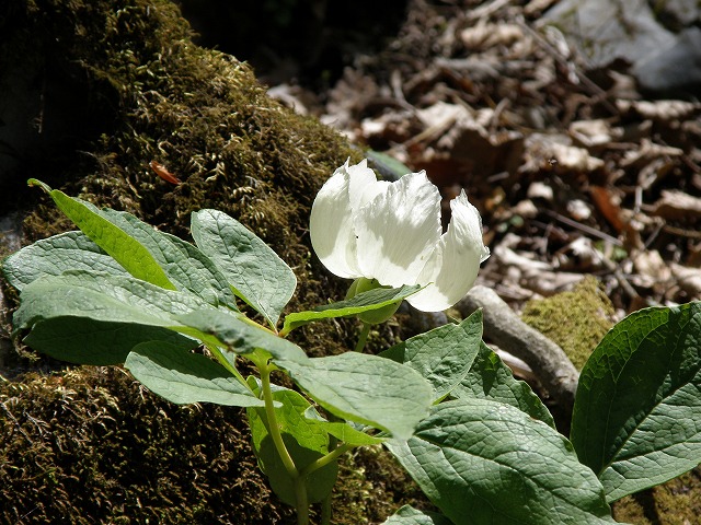 b0047184_2273211.jpg