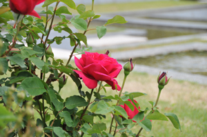 b0142989_23572720.jpg