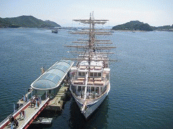 c0078592_1657019.gif