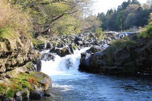 うちの近くの絶景パワースポット_e0185893_2220980.jpg