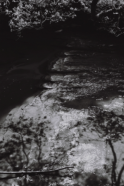 c0214494_042957.jpg