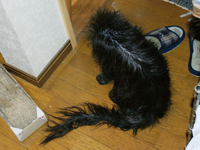 e0019594_040557.jpg