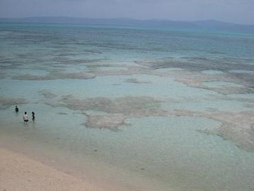 e0107495_16261086.jpg