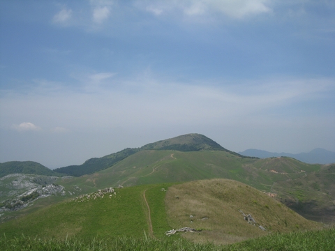 a0166196_12463738.jpg