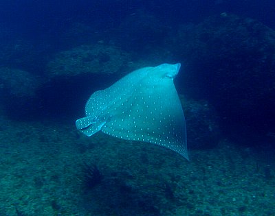 f0079996_14563914.jpg