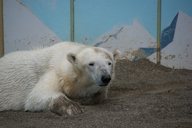 f0220196_2114886.jpg