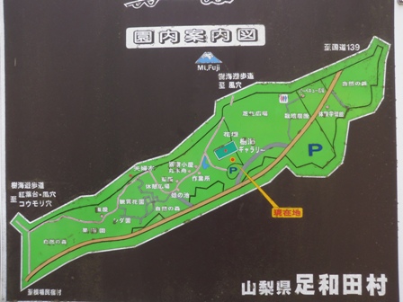 青木ケ原樹海と三湖台トレランレポート(本編)_d0122797_18425948.jpg