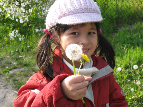 f0129897_1465377.jpg