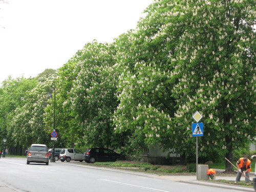 f0129897_2272921.jpg
