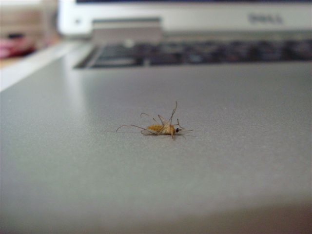 f0235097_2011984.jpg