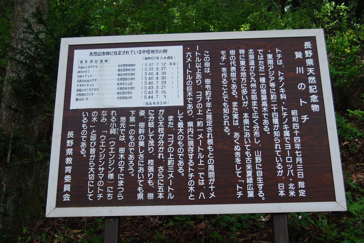 d0063599_21262954.jpg