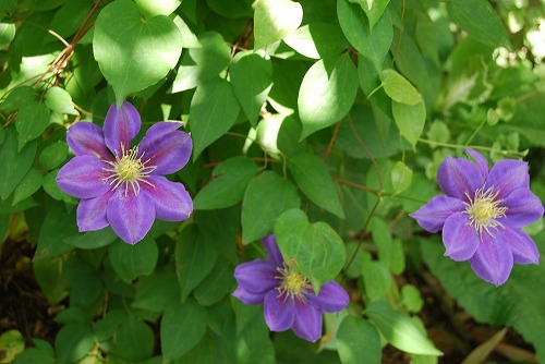 c0124100_22142681.jpg