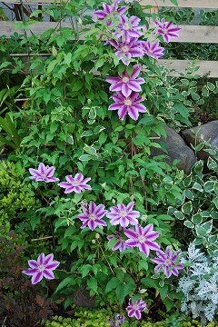 c0124100_22152538.jpg