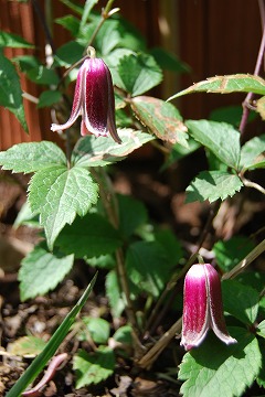 c0124100_22153842.jpg