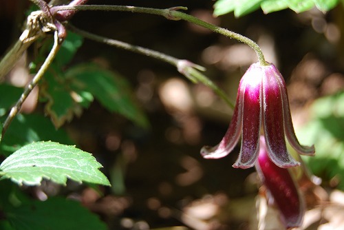 c0124100_22161256.jpg