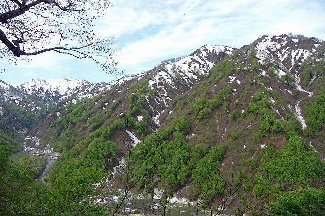e0137200_21524015.jpg