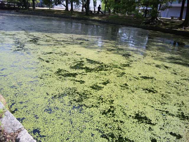 f0197703_10231130.jpg