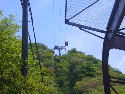 a0071805_1453137.gif