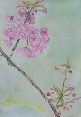 アトリエ蒼通信134 2010年5月18日(火)_b0129807_15464263.jpg