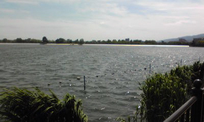 c0180209_20211846.jpg