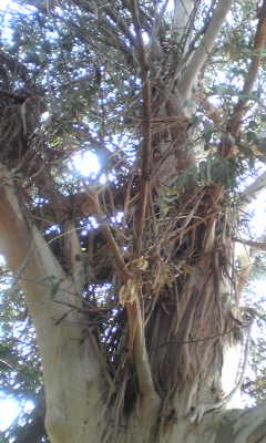 c0180209_20211961.jpg