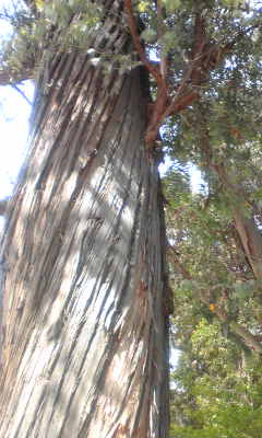 c0180209_20211989.jpg