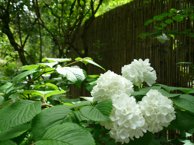 f0201310_1416533.jpg