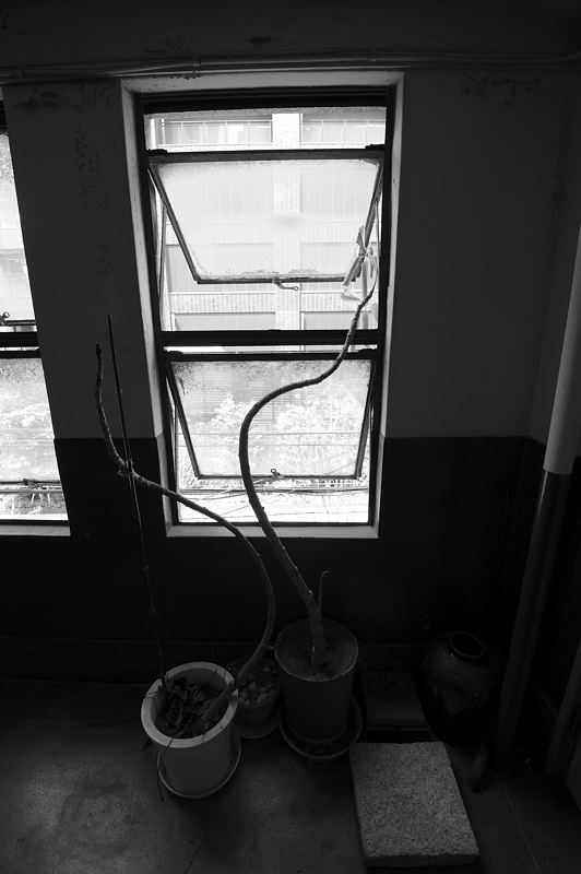 f0032011_19143167.jpg